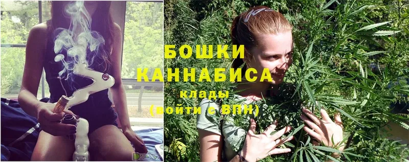 Бошки Шишки Ganja  купить наркоту  Дедовск 